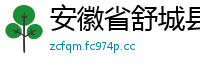 安徽省舒城县安全新闻网
